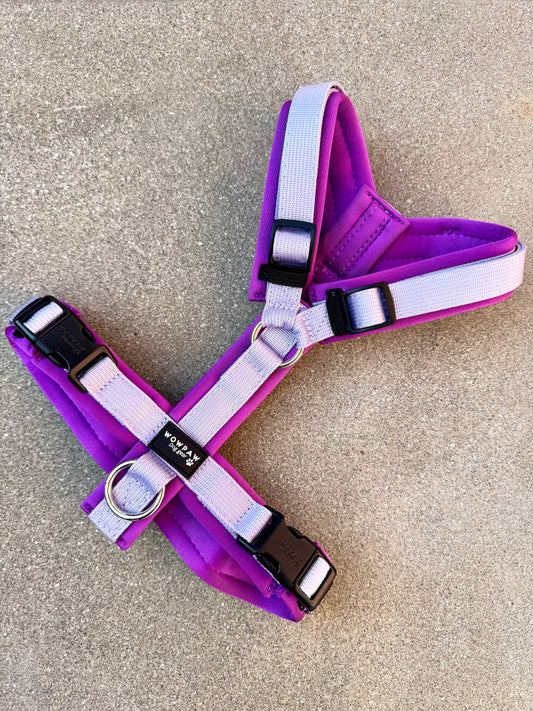 Hochwertiges Hundegeschirr FLOW Flieder Edition