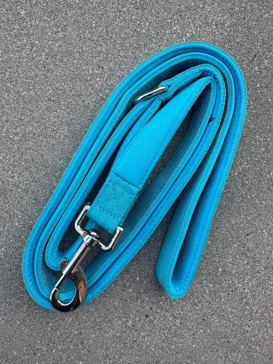 Basic Hundeleine Hellblau-Silber Edition 1,8m