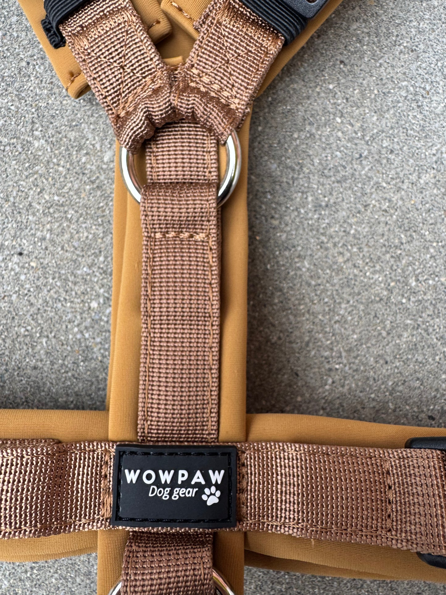 Pettorina per cani di alta qualità M arancione neon