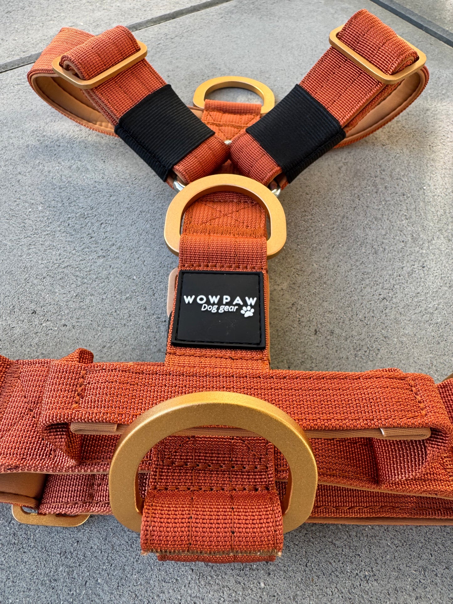 Hochwertiges Hundegeschirr L Kupfer Edition