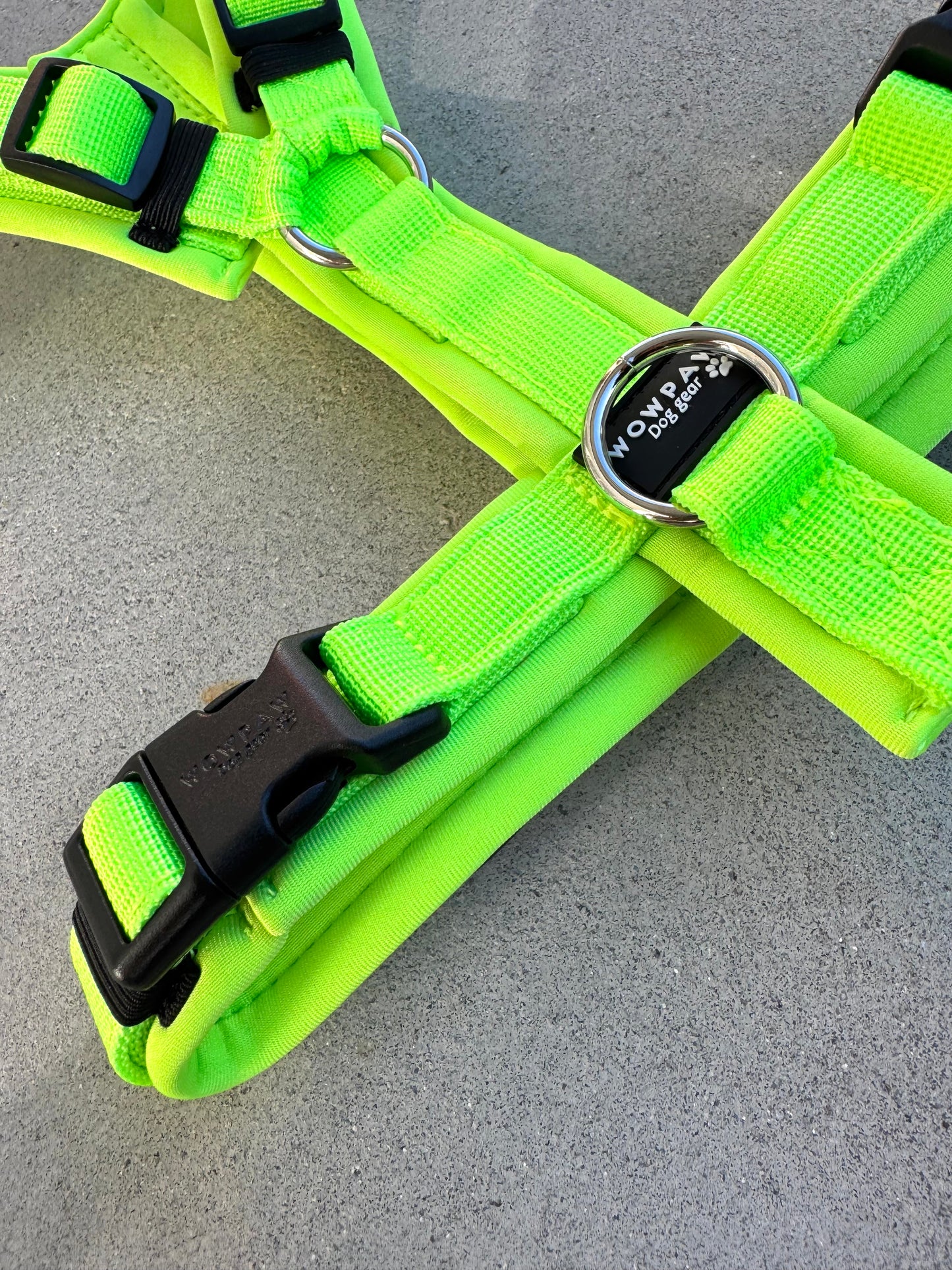 Pettorina per cani di alta qualità M arancione neon