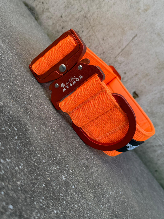 Taktisches Hundehalsband 5cm ULTRA LIGHT Neonorange Edition M ohne Griff