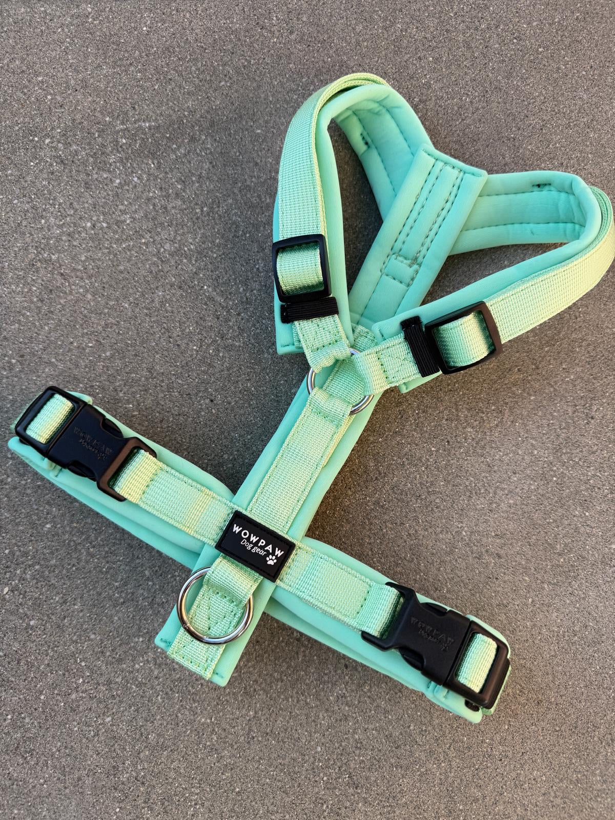 Hochwertiges Hundegeschirr FLOW Pistaziengrün Edition