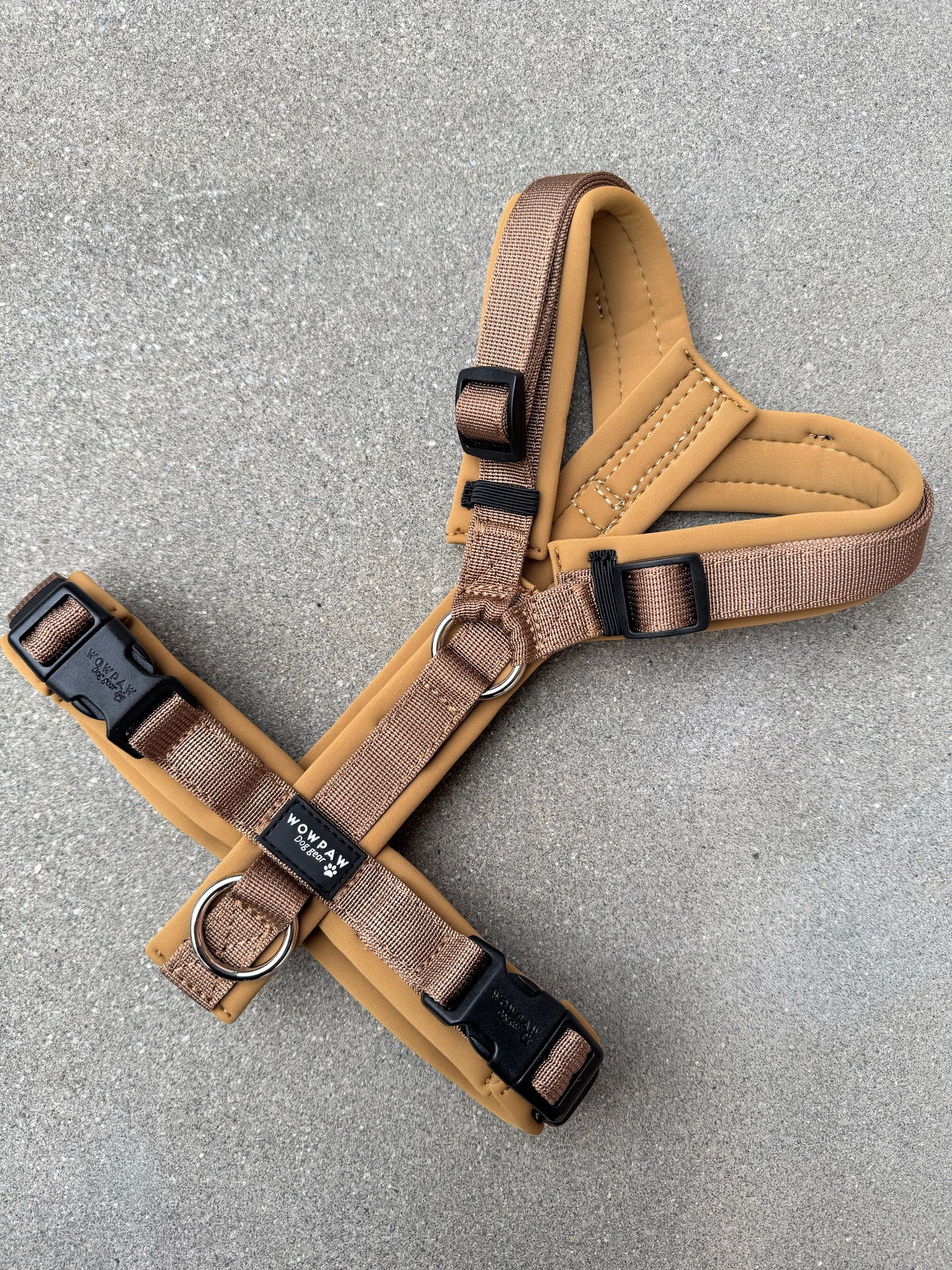 Pettorina per cani di alta qualità M arancione neon