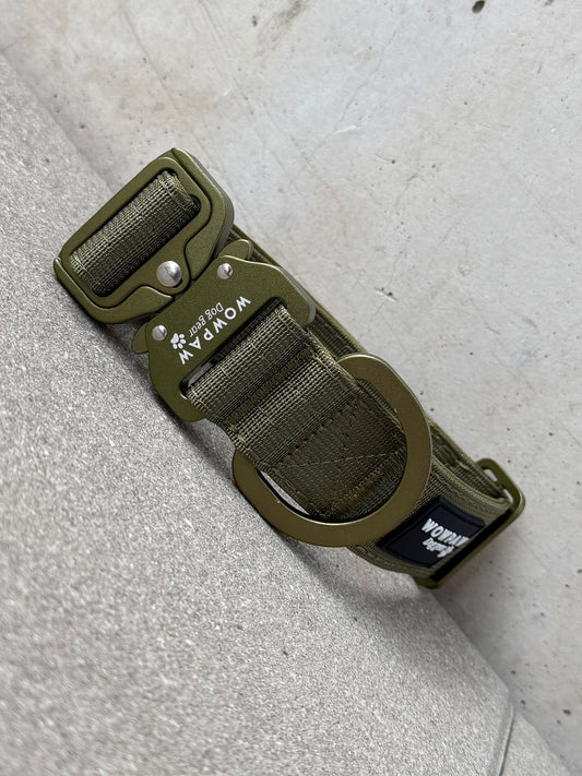 Hochwertiges taktisches Hundehalsband 3,8cm ULTRA LIGHT Army Green Edition Größe M ohne Griff