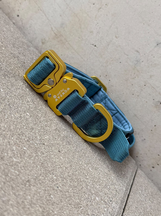 Hochwertiges taktisches Hundehalsband XS 2,5cm Ocean Blue Edition