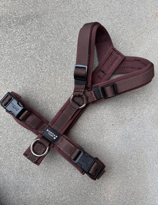 Hochwertiges Hundegeschirr FLOW Espresso Braun Edition