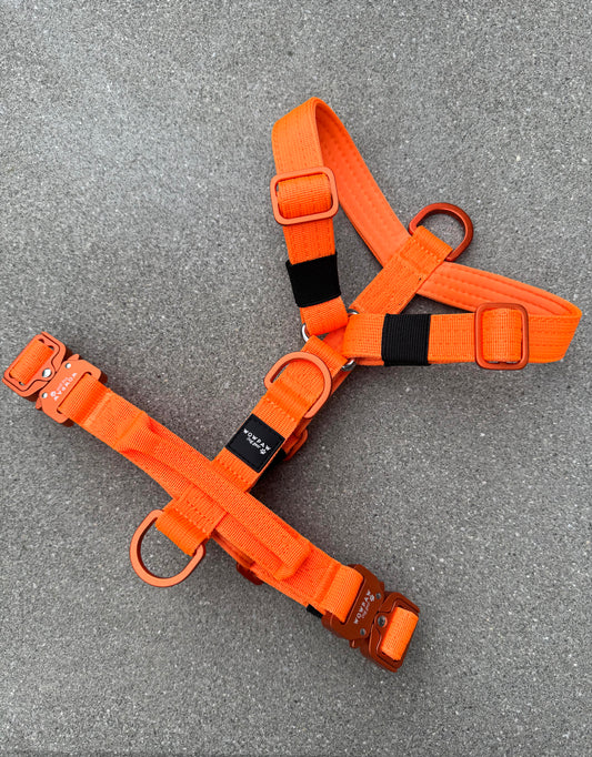 Hochwertiges Hundegeschirr XS Neonorange Edition
