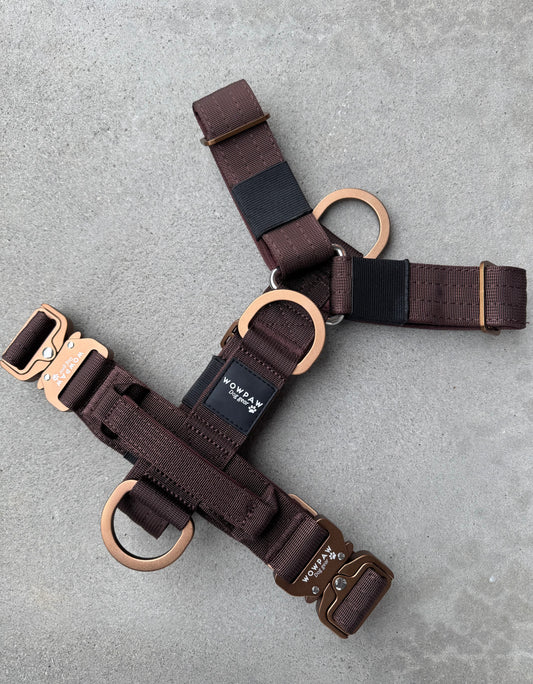 Wysokiej jakości szelki dla psa S miedziane 