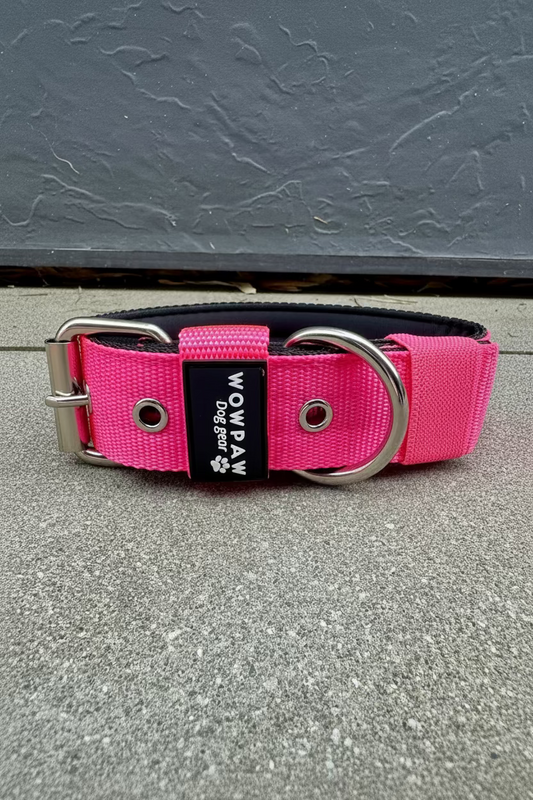 Hochwertiges Basic Hundehalsband Neonpink 4cm Größe S
