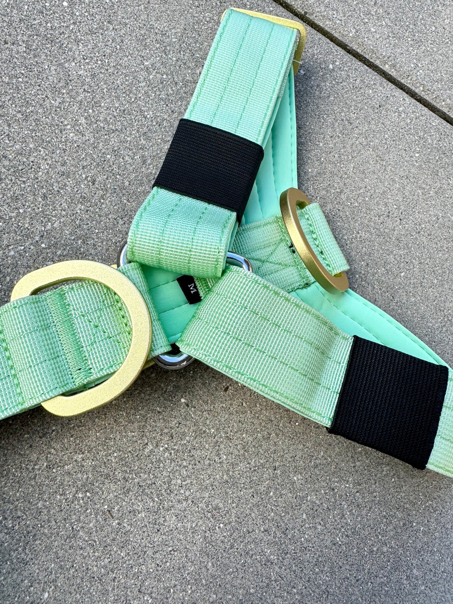 Hochwertiges Hundegeschirr S Pistaziengrün Edition