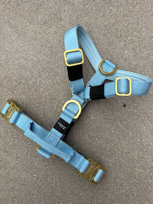 Hochwertiges Hundegeschirr XS Sky Blue Edition