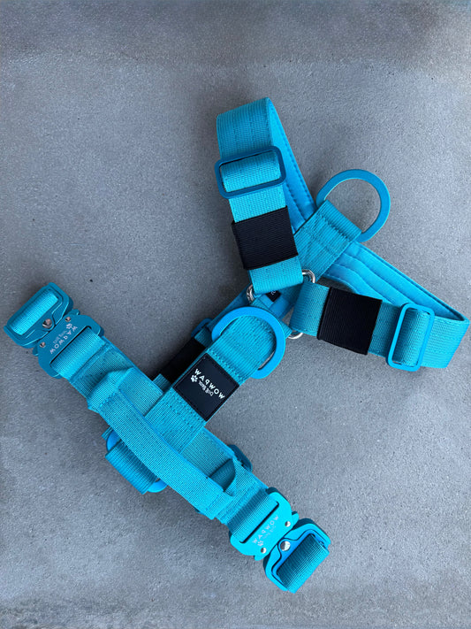 Hochwertiges Hundegeschirr S Hellblau Edition