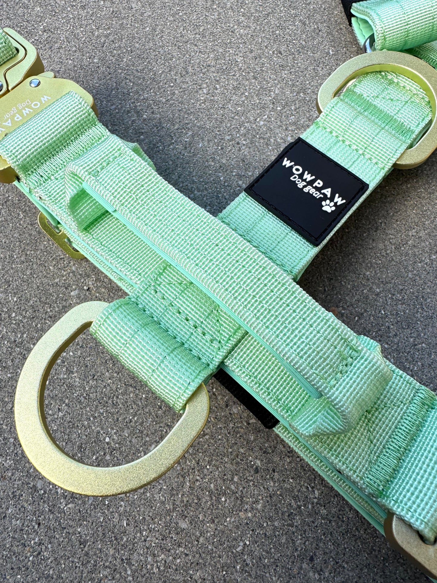 Hochwertiges Hundegeschirr L Pistaziengrün Edition