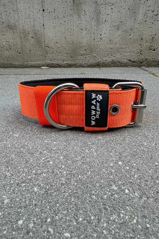 Hochwertiges Basic Hundehalsband Neonorange 4cm Größe S