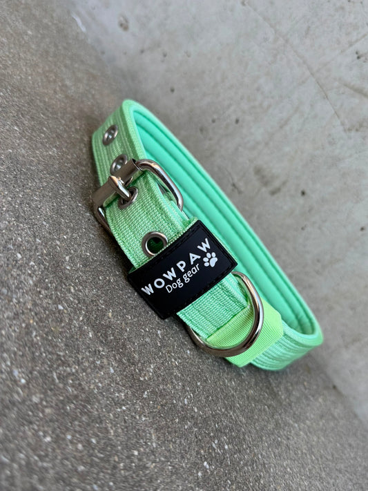 Hochwertiges Basic Hundehalsband Pistaziengrün 2,5cm Größe S