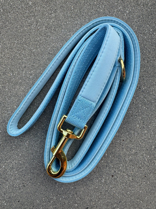 Basic Hundeleine Sky Blue-Gold Edition 1,8m