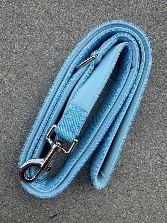 Basic Hundeleine Sky Blue-Silber Edition 1,8m