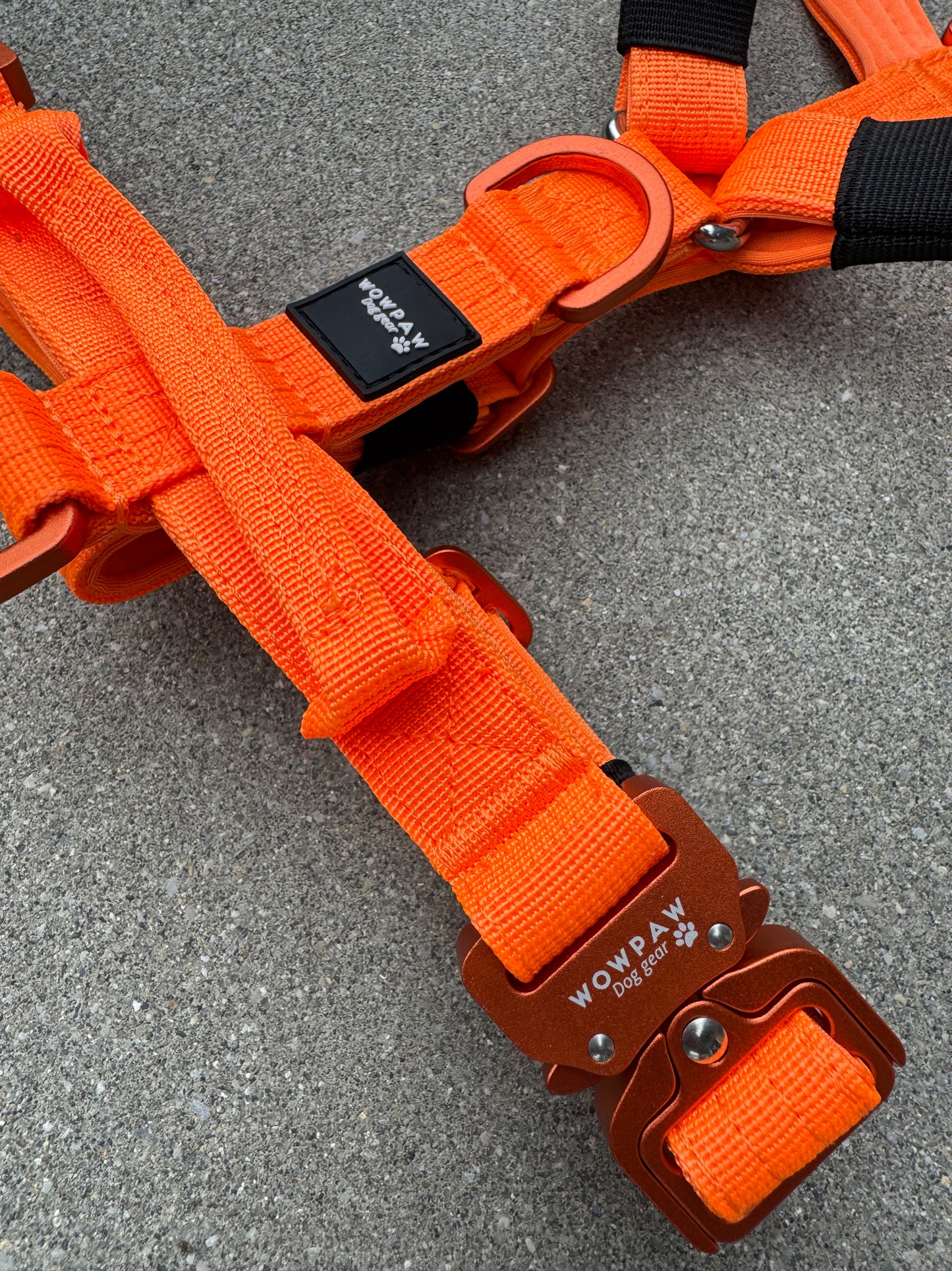 Hochwertiges Hundegeschirr XS Neonorange Edition