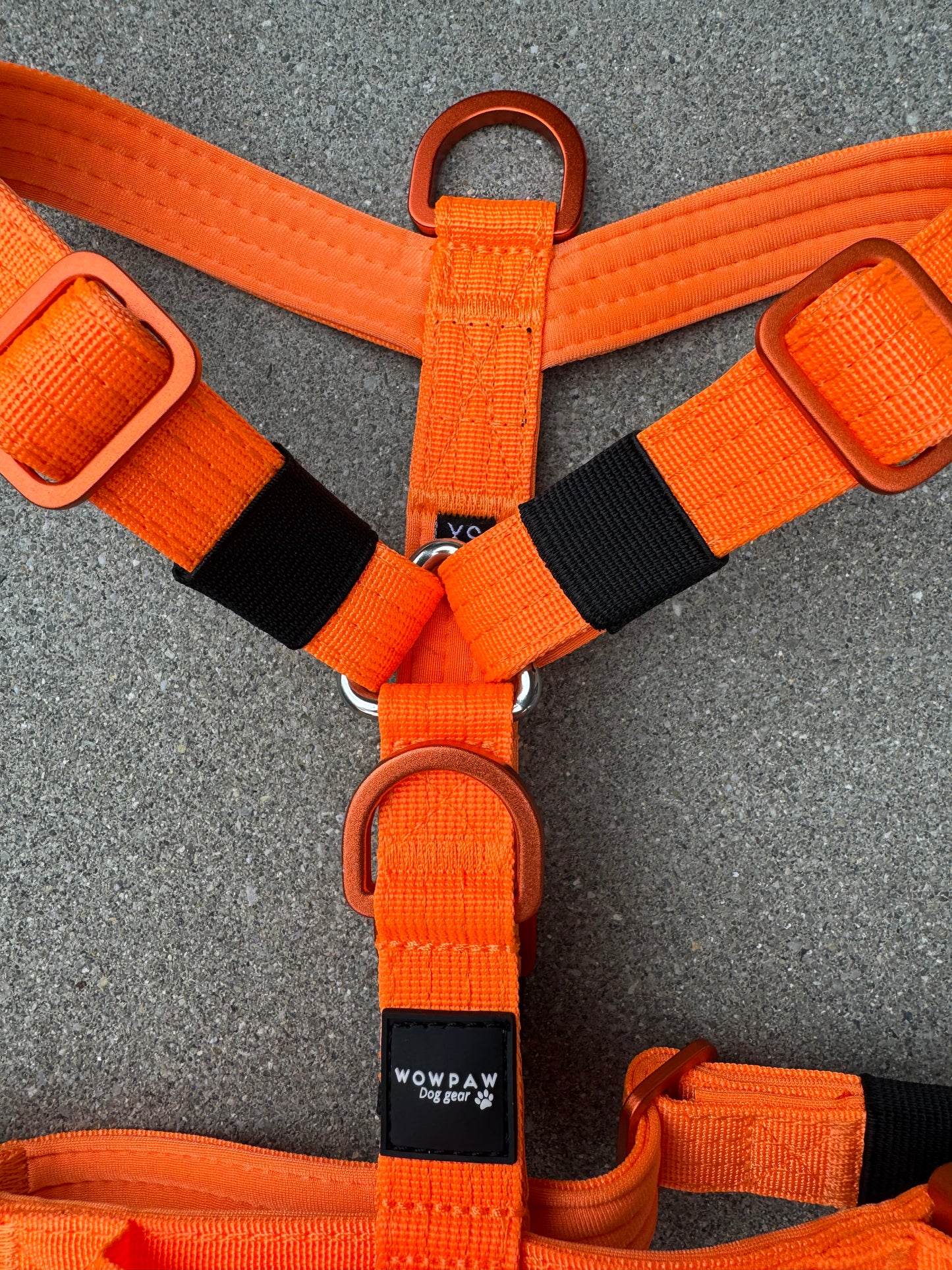 Hochwertiges Hundegeschirr XS Neonorange Edition