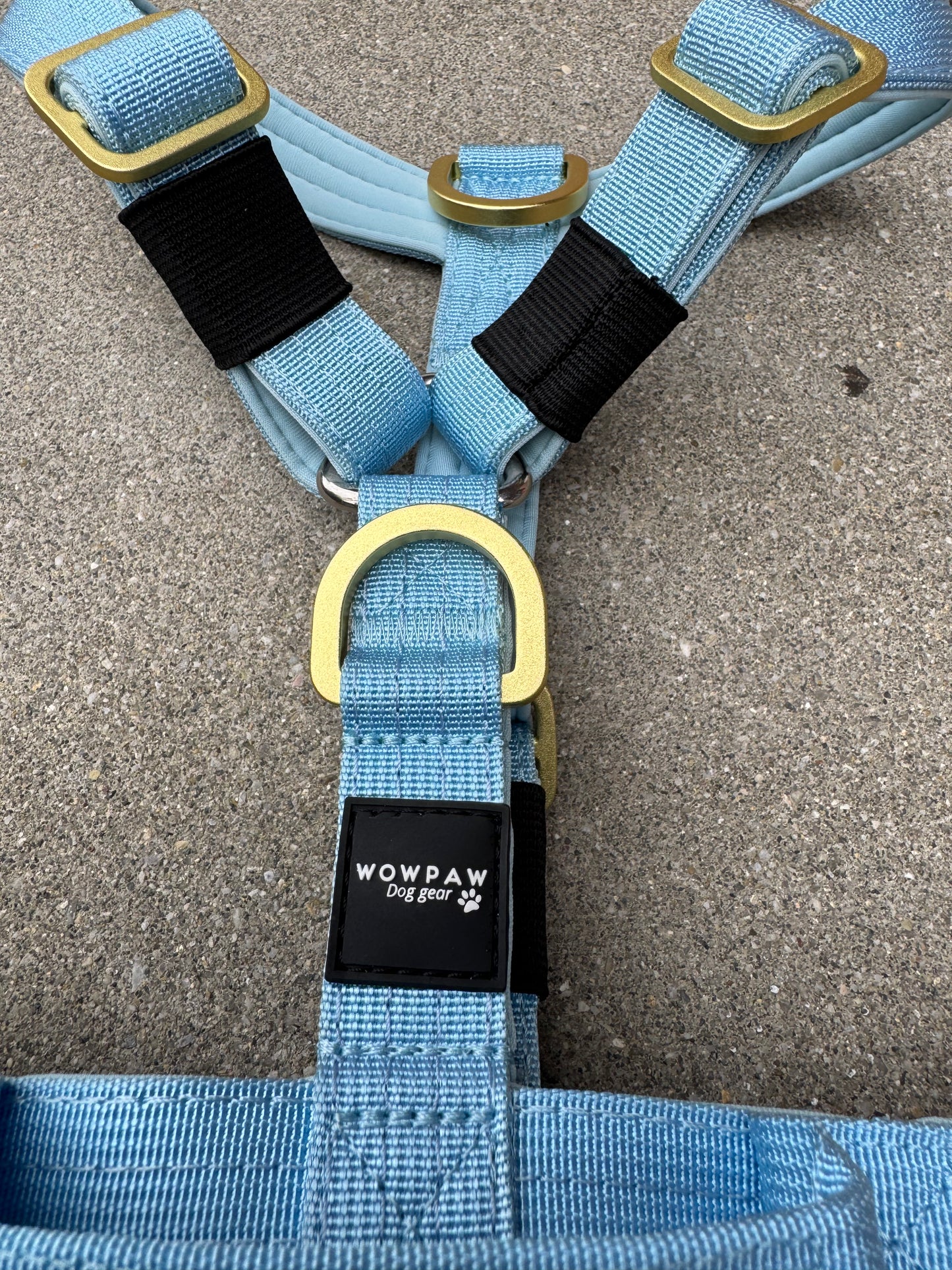 Hochwertiges Hundegeschirr XS Sky Blue Edition