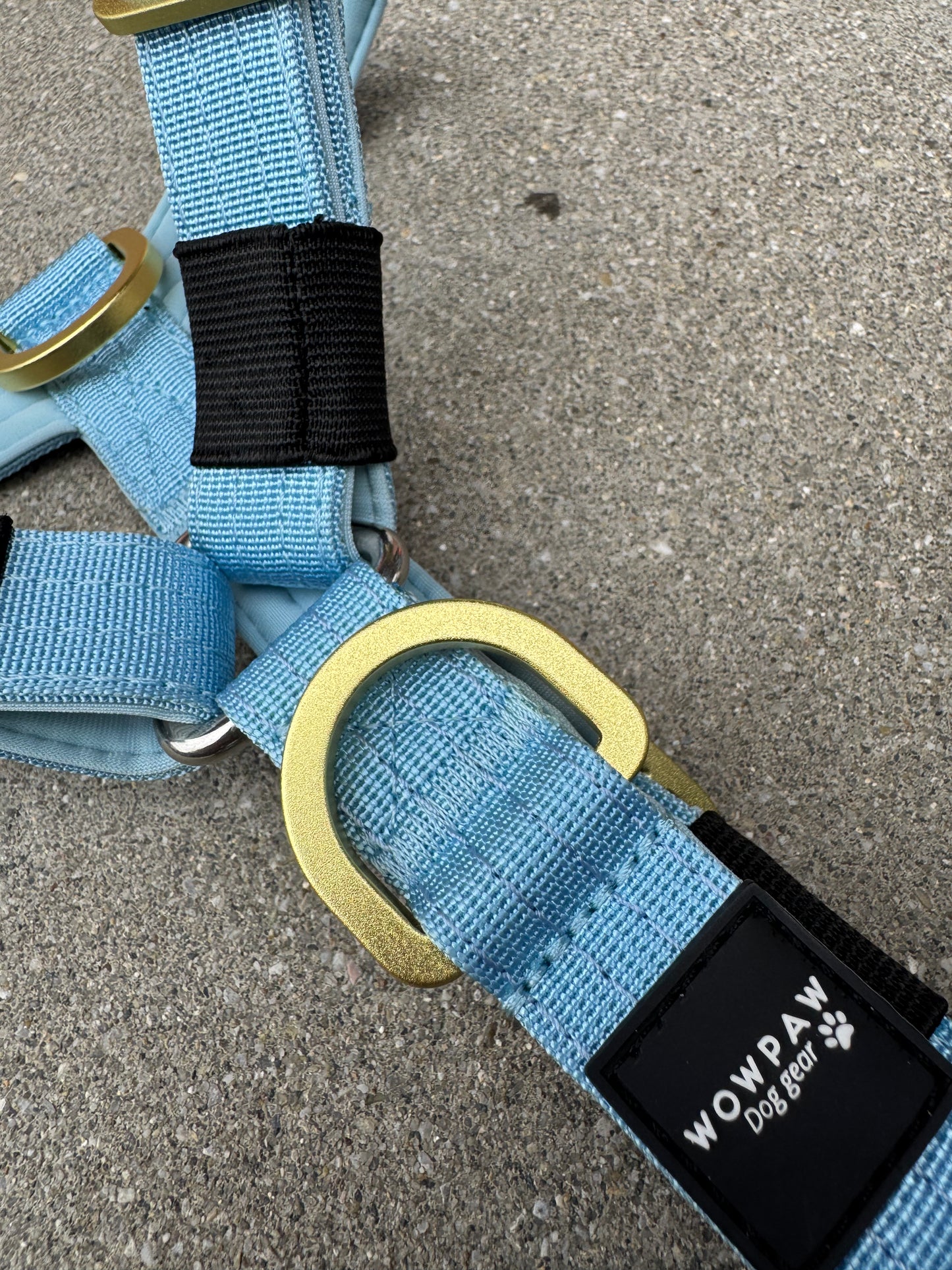 Hochwertiges Hundegeschirr XS Sky Blue Edition
