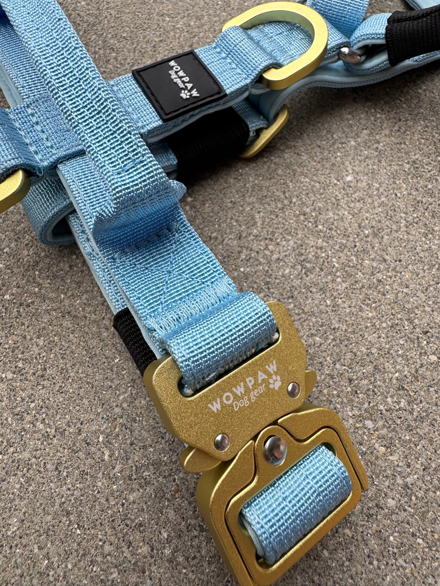 Hochwertiges Hundegeschirr XS Sky Blue Edition