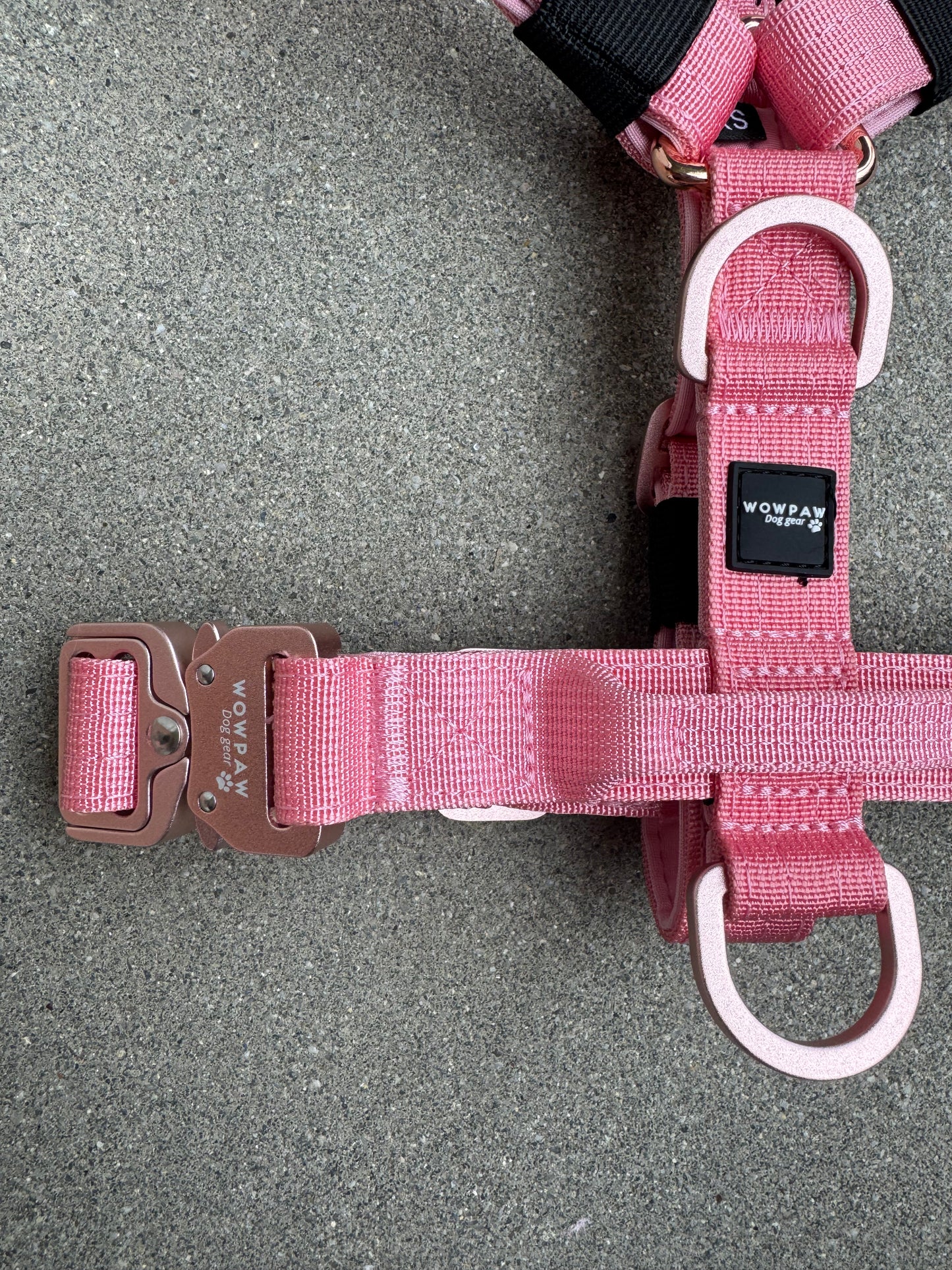 Hochwertiges Hundegeschirr XS Rosa Edition