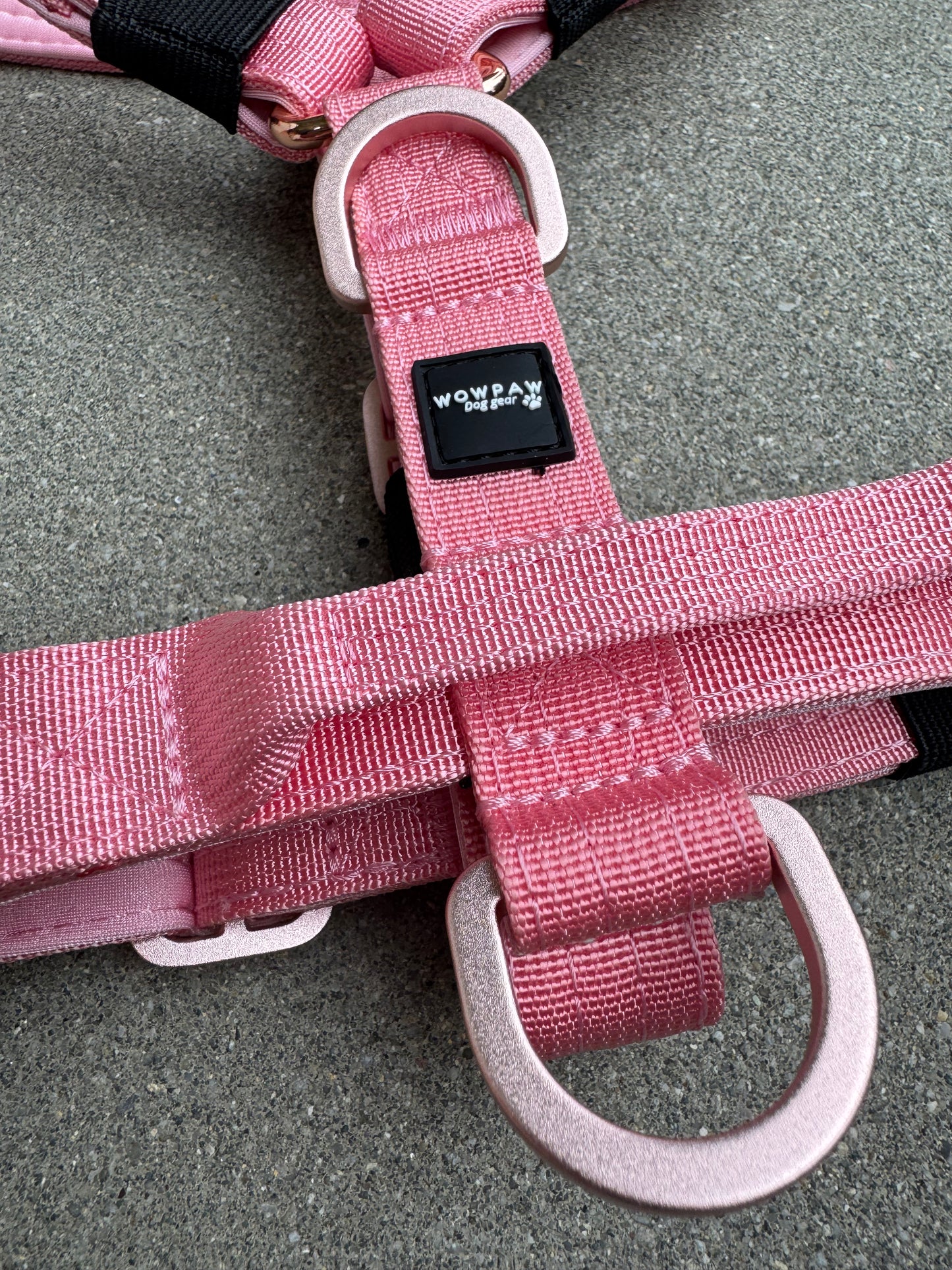 Hochwertiges Hundegeschirr XS Rosa Edition