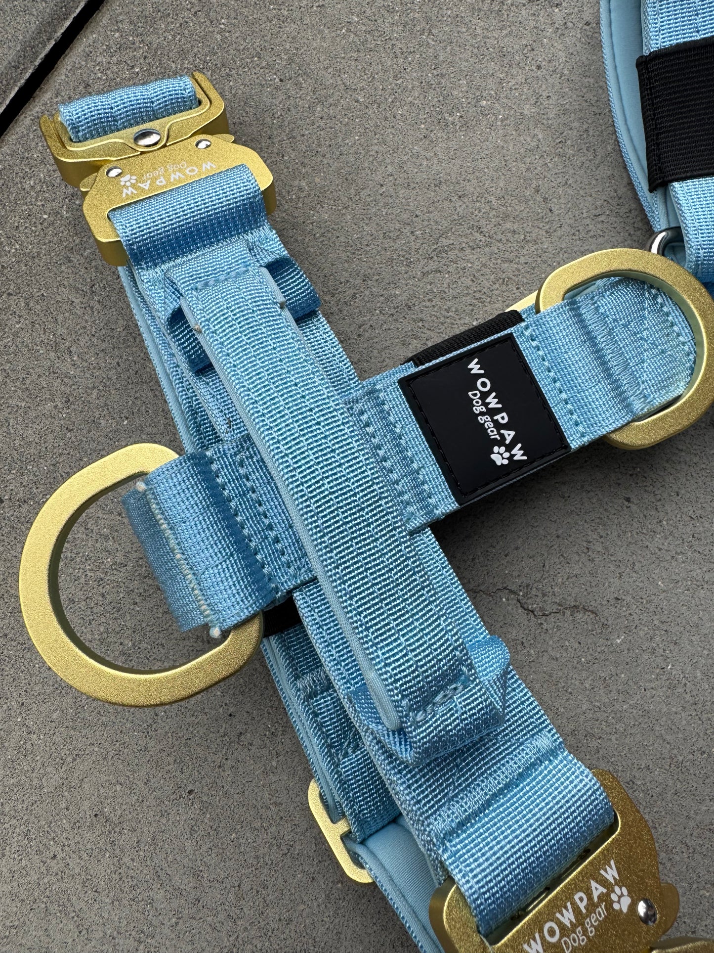 Hochwertiges Hundegeschirr L Sky Blue Edition