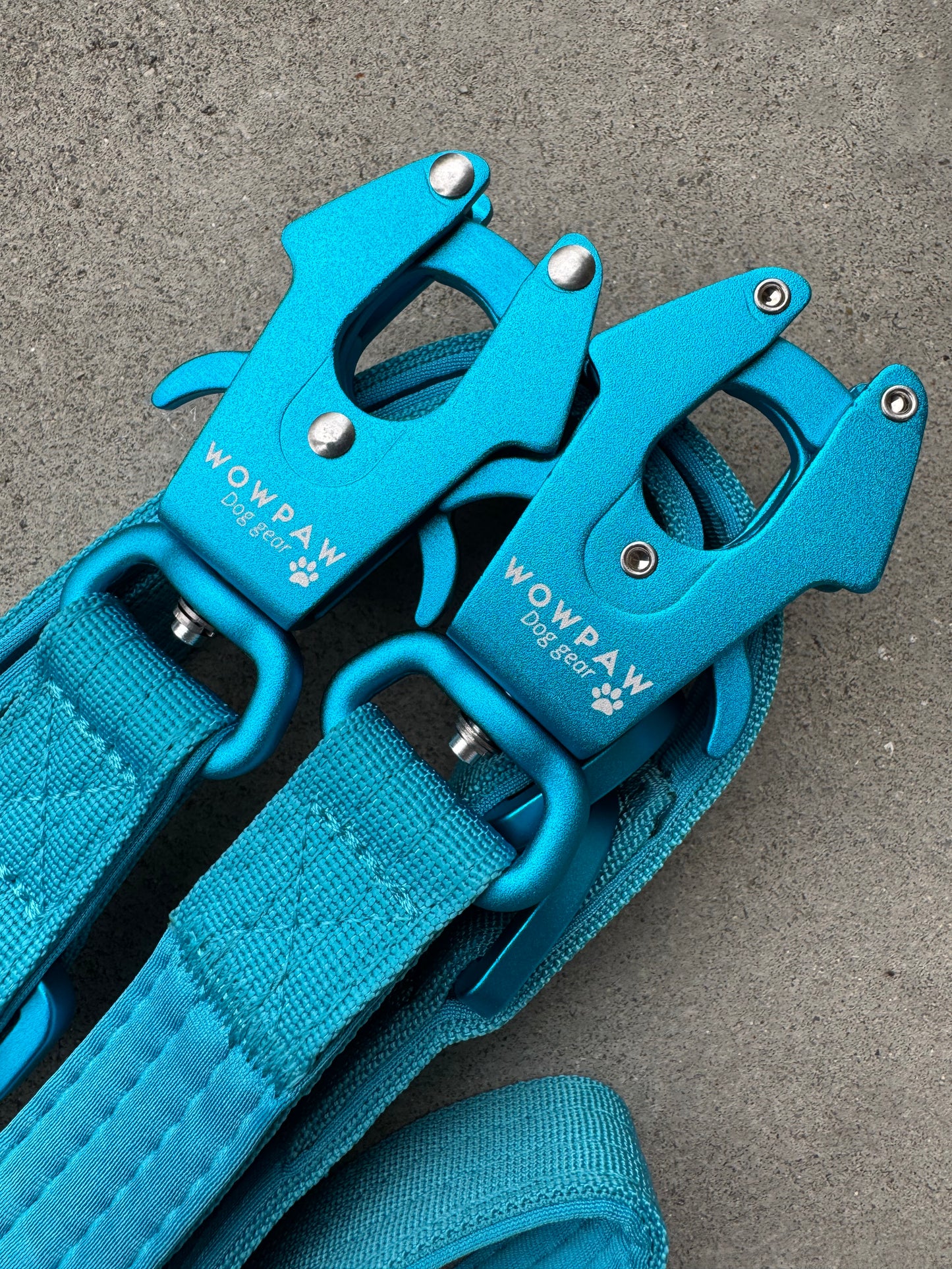 Taktische Hundeleine ULTRA LIGHT Hellblau Edition Länge 2m, verstellbar