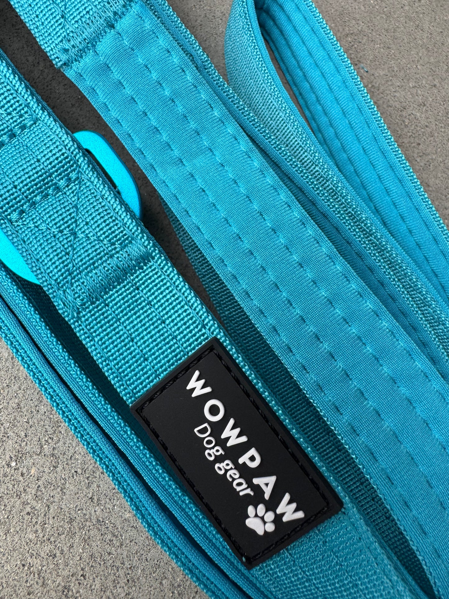 Taktische Hundeleine ULTRA LIGHT Hellblau Edition Länge 2m, verstellbar