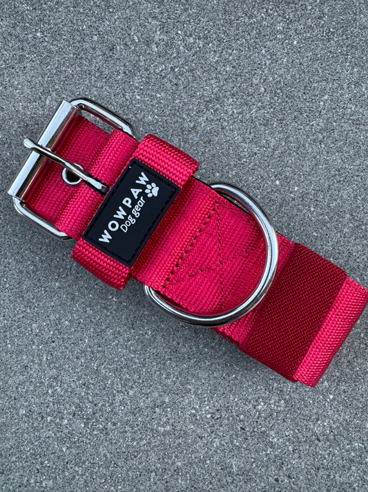 Hochwertiges Basic Hundehalsband Rot mit Patch Größe S