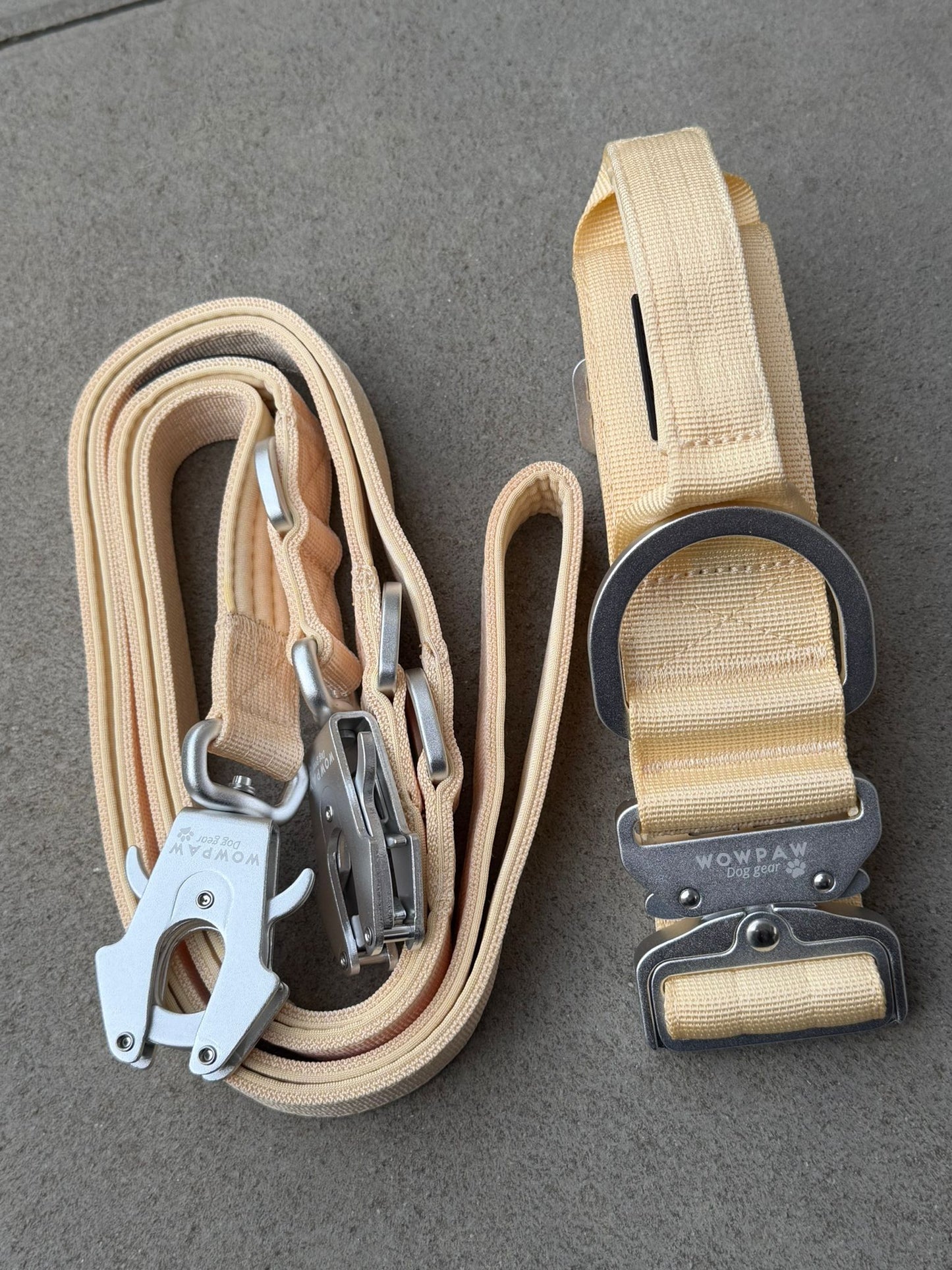 Collare tattico per cani di alta qualità blu royal taglia S