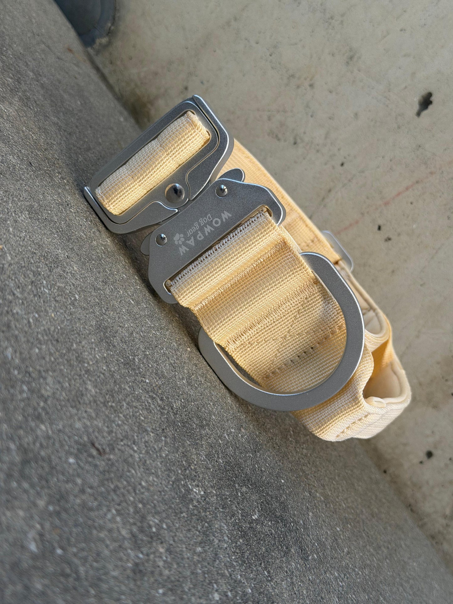 Collare tattico per cani di alta qualità blu royal taglia S