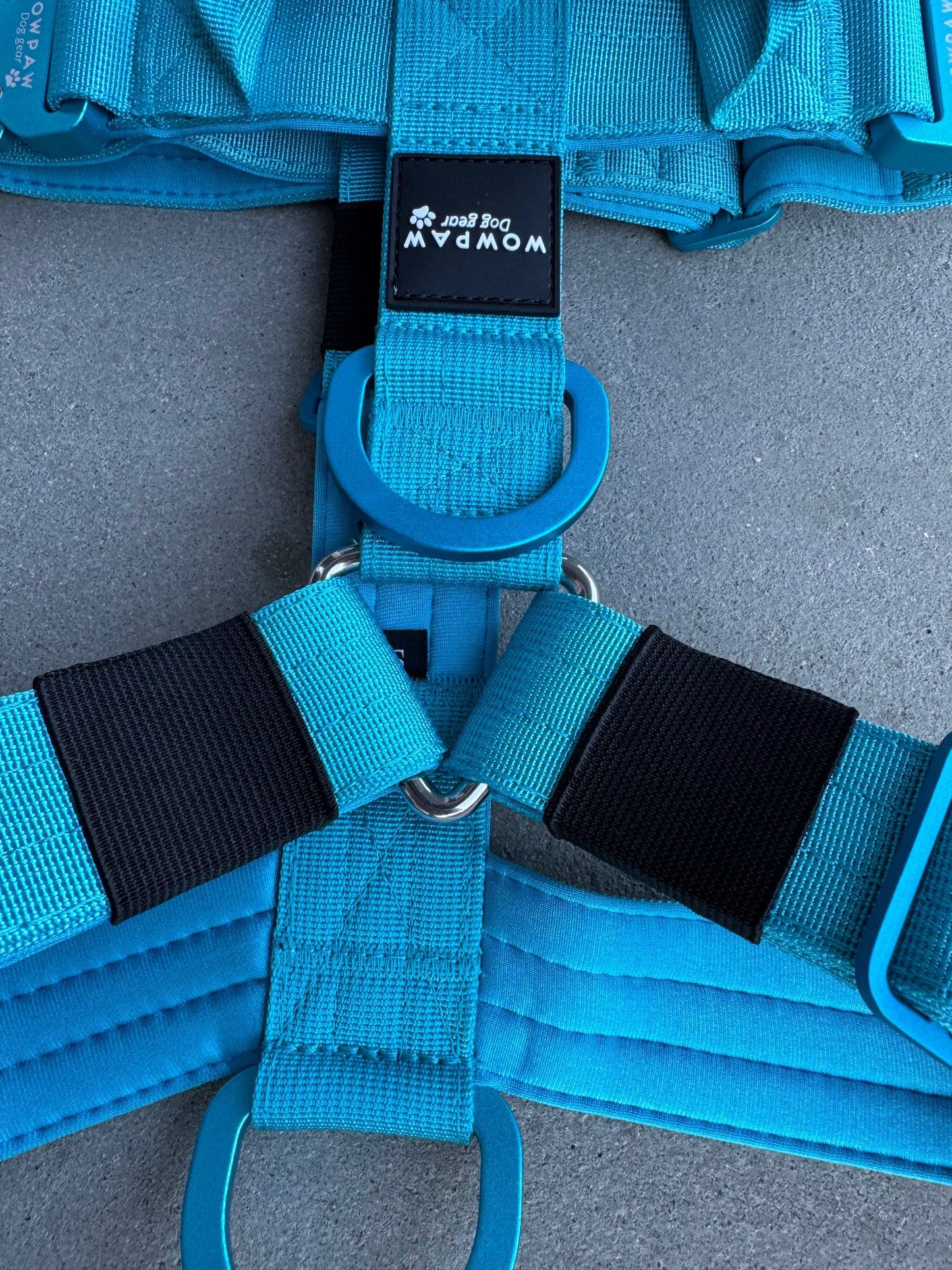 Hochwertiges Hundegeschirr S Hellblau Edition