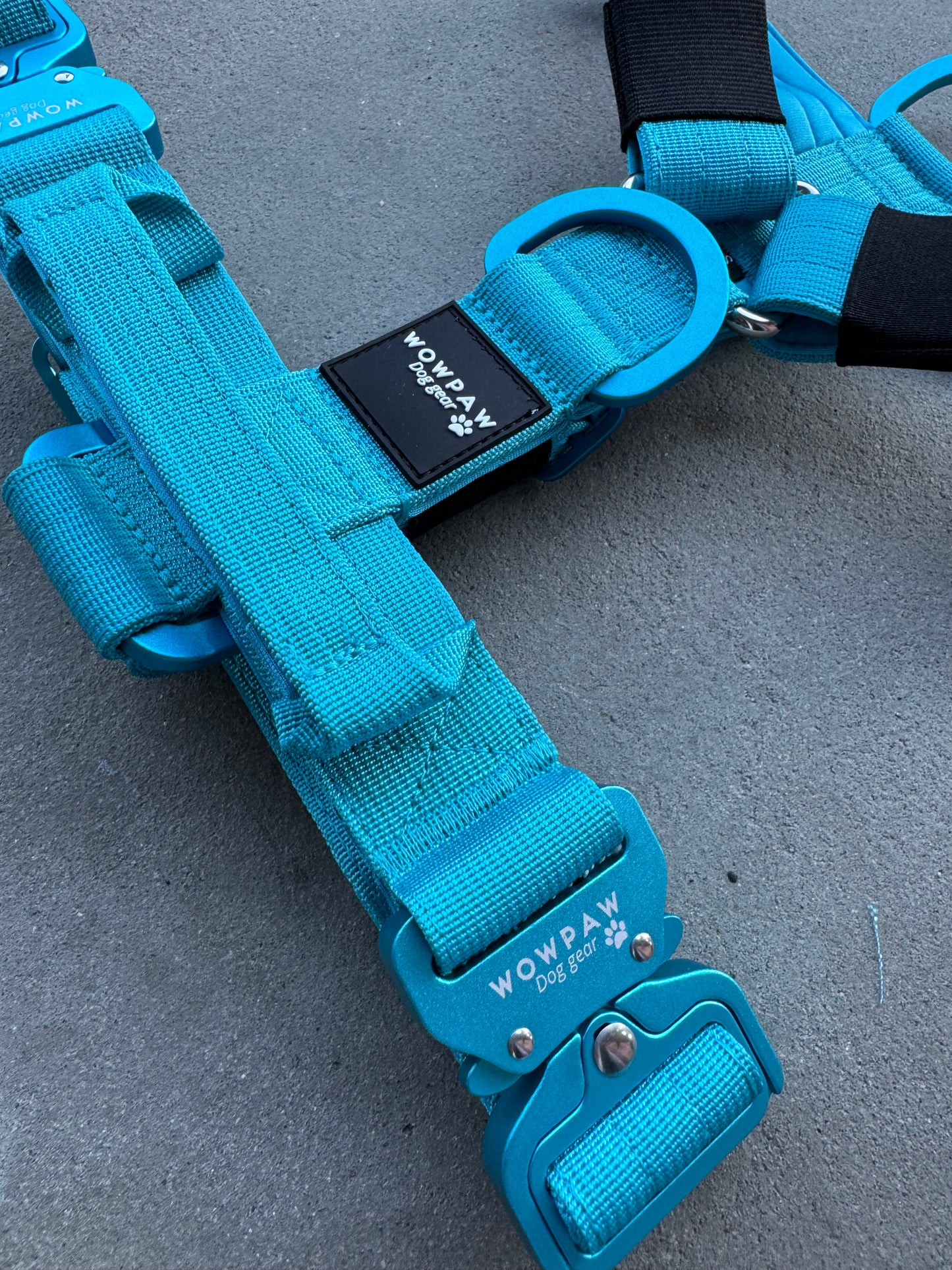 Hochwertiges Hundegeschirr S Hellblau Edition