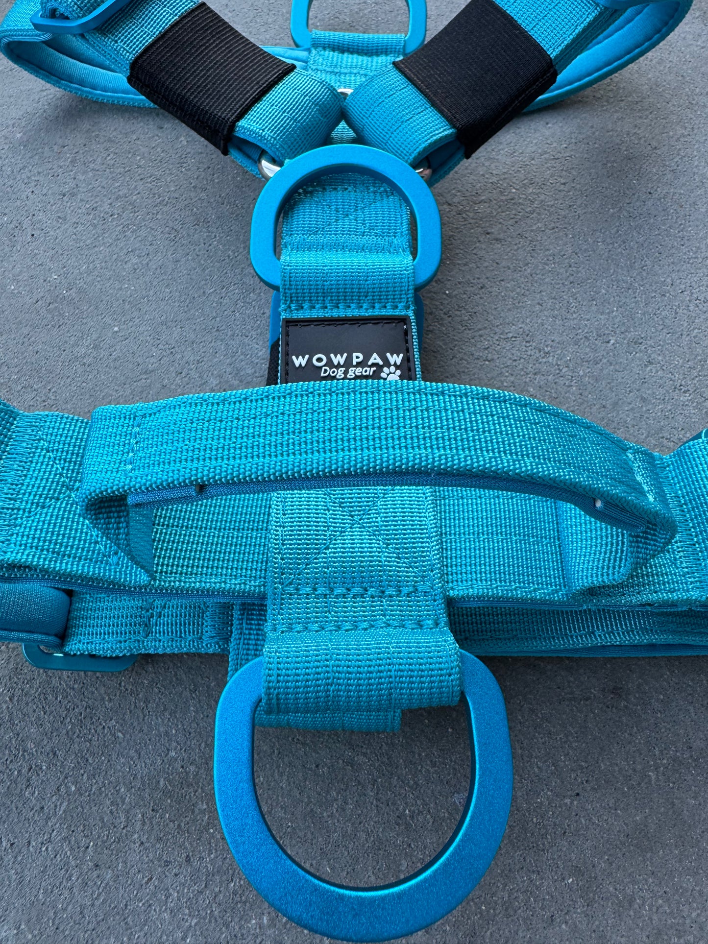 Hochwertiges Hundegeschirr S Hellblau Edition