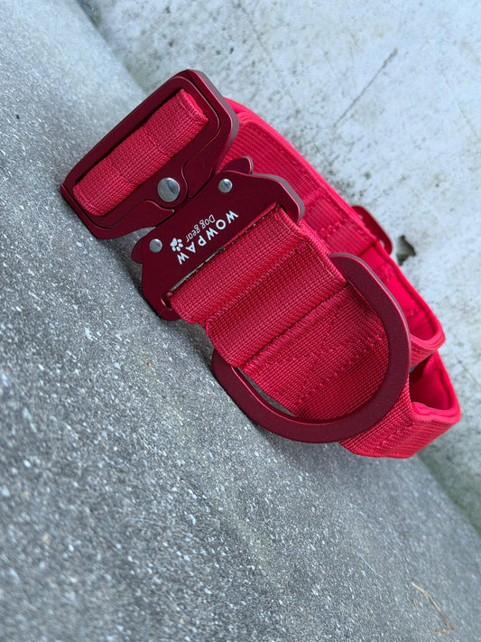 Collare tattico per cani di alta qualità blu royal taglia S