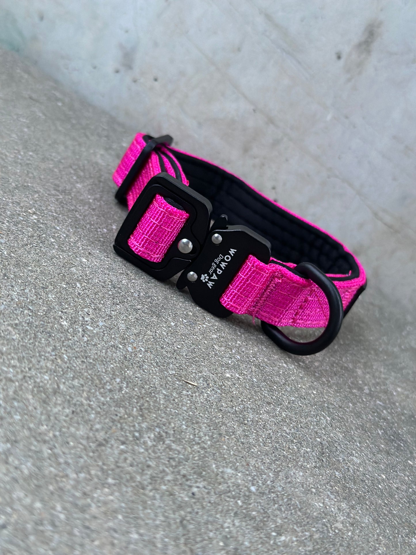 Collare per cani tattico di alta qualità 2,5 cm arancione neon taglia XS