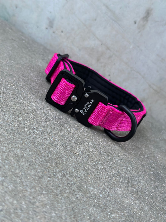 Collare per cani tattico di alta qualità 2,5 cm arancione neon taglia XS