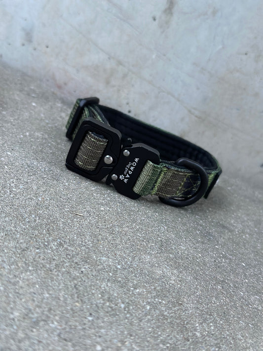 Collare per cani tattico di alta qualità 2,5 cm arancione neon taglia XS