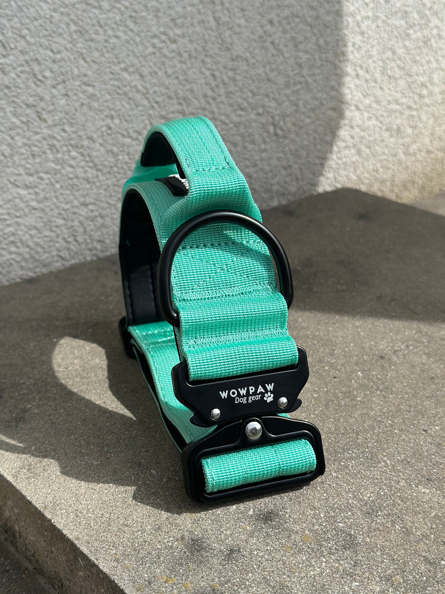Taktisches Hundehalsband Mint S Bestickt