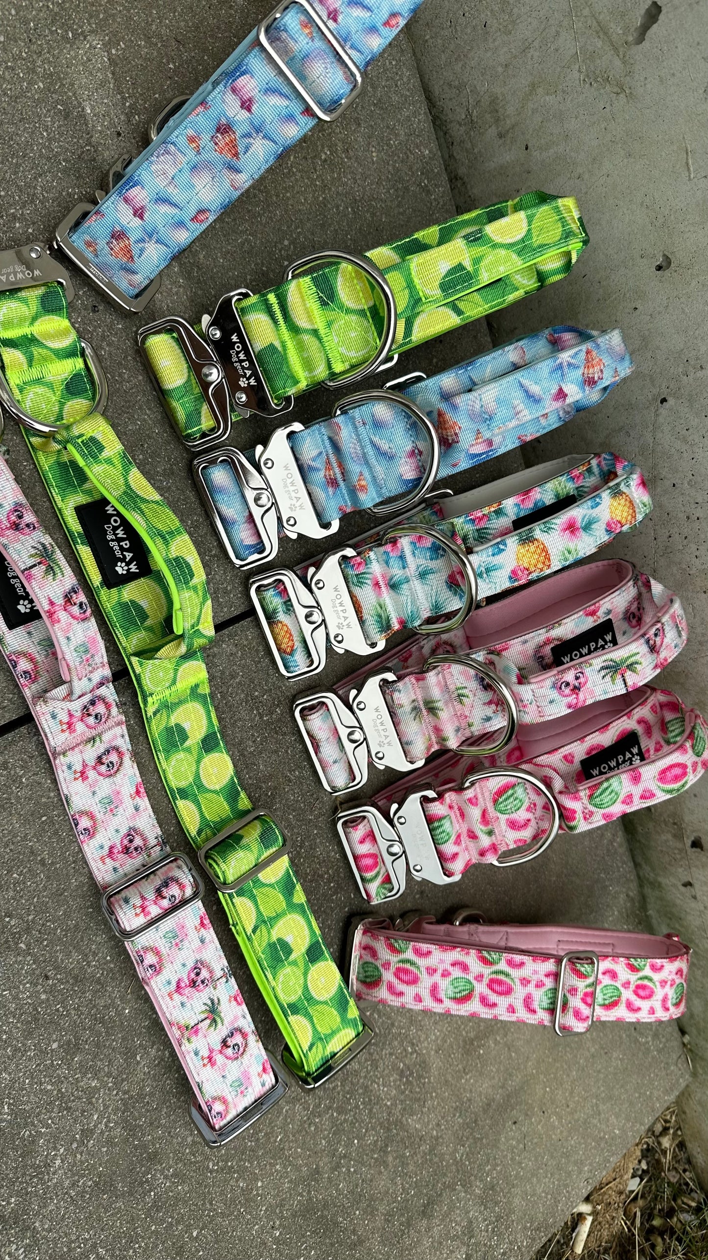 Hochwertiges taktisches Hundehalsband WASSERMELONEN LIMITIERT Größe M