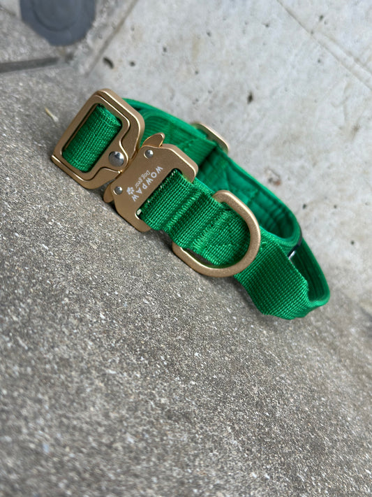 Hochwertiges taktisches Hundehalsband XS 2,5cm Grün Edition