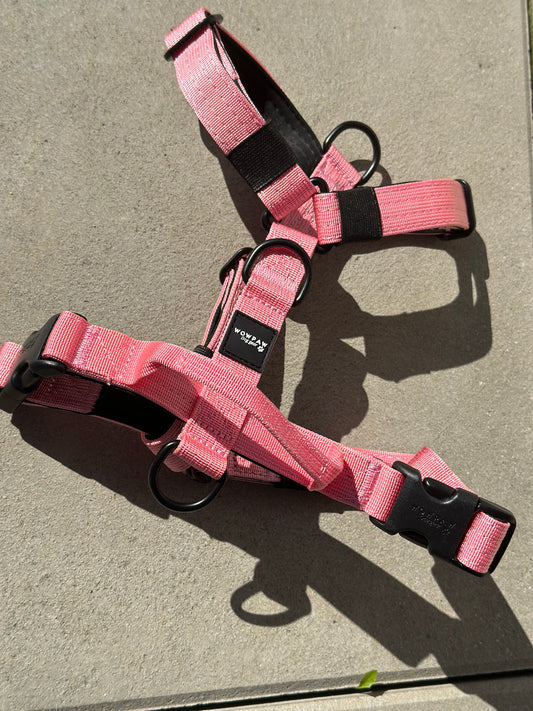 Hochwertiges Hundegeschirr XS Rosa