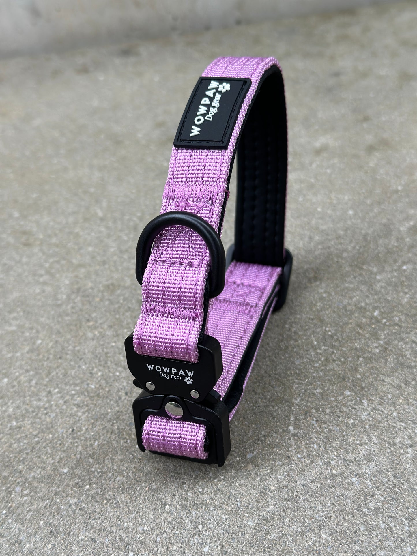 Collare per cani tattico di alta qualità 2,5 cm arancione neon taglia XS