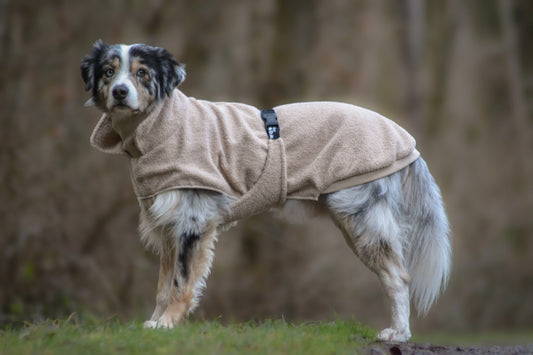 Wowpaw Hundepullover Beige