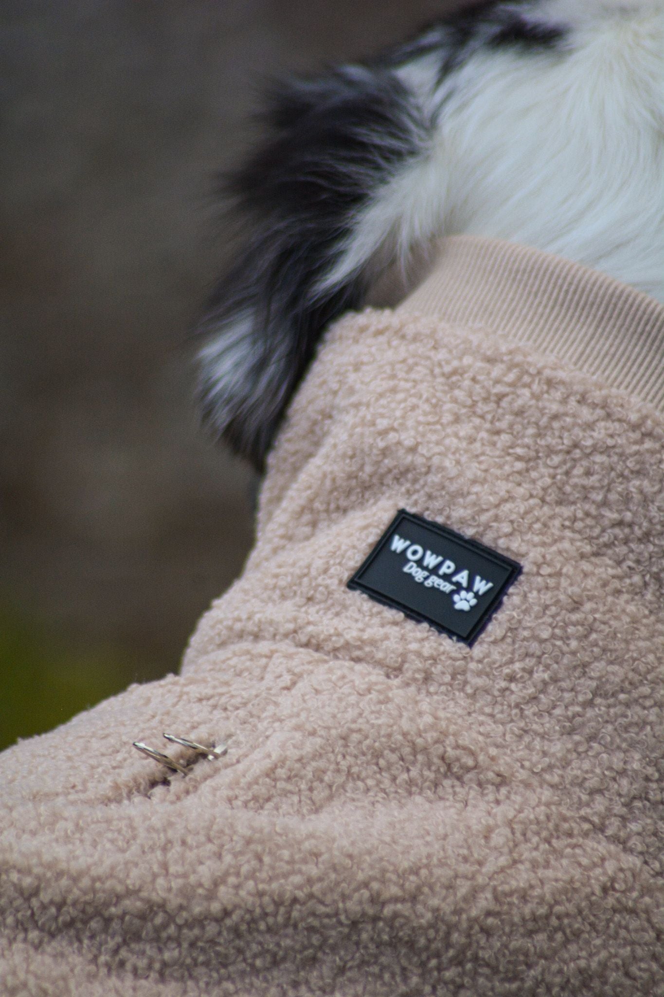Wowpaw Hundepullover Beige