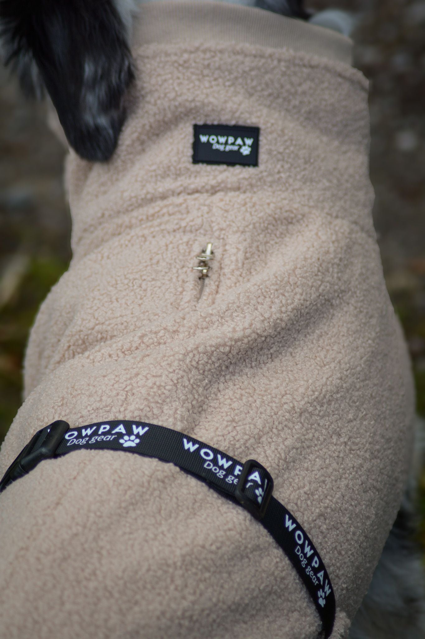 Wowpaw Hundepullover Beige